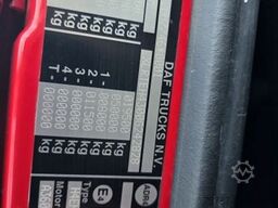 DAF XF 530 SSC LL ZF Intarder, Leder, Standklima