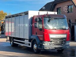 DAF LF 280 4x2 Köstner 1.Stock Aufbau