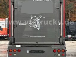 DAF CF 75.360 6x2 Menke/Janzen 1Stock  Lift/Lenk