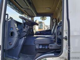 SCANIA P 360