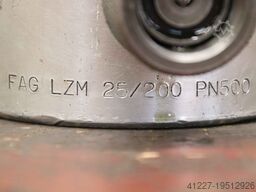 FAG LZM 25/200 PN500 8607