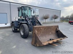 Terex TL160