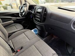 Locostréa Locostréa Locostréa