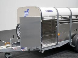 Ifor Williams TA5 | 12x4 372X156X120CM VIEHANHÄNGER
