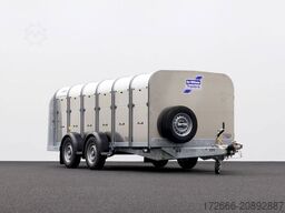 Ifor Williams TA5 | 12x4 372X156X120CM VIEHANHÄNGER