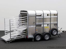 Ifor Williams TA5 | 8x6 | DOPPELSTOCK 241X156X183CM VIEHANHÄNGER | 2X LÜFTUNG