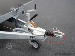 Ifor Williams TA5 | 8x6 | DOPPELSTOCK 241X156X183CM VIEHANHÄNGER | 2X LÜFTUNG