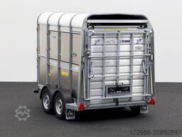 Ifor Williams TA5 | 8x6 | DOPPELSTOCK 241X156X183CM VIEHANHÄNGER | 2X LÜFTUNG
