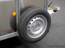 Ifor Williams TA5 HD | 12x6 | RAMPE-/TÜR-KOMBI 372X156X183CM VIEHANHÄNGER | 2X LÜFTUNG