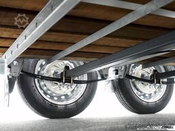 Ifor Williams TA510 | 10x6 | RAMPE-/TÜR-KOMBI 311X178X183CM VIEHANHÄNGER | 2X LÜFTUNG