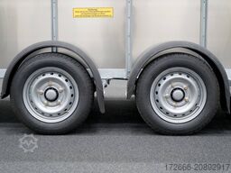 Ifor Williams TA510 | 14x6 | RAMPE-/TÜR-KOMBI 434X178X183CM VIEHANHÄNGER | 2X LÜFTUNG