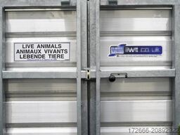 Ifor Williams TA510 | 14x7 | RAMPE-/TÜR-KOMBI 434X178X214CM VIEHANHÄNGER | 2X LÜFTUNG