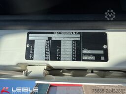 DAF XF 480*Palfinger Kran*Lift/Lenkachse*394 TKM*