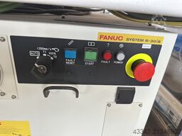 FANUC Roboter M-10iA/10/10MS