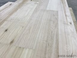 BGD Celaschi TSA 360