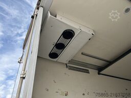 System Trailers - VeDeCar / Thermo King Koeler -29 gr / Duo Tem...