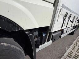 DAF XF 480 XF 480.26 FAN