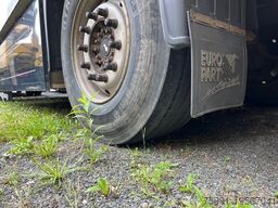 SCHMITZ CARGOBULL TK Anhänger Thermoking SL100 Rohrbahn Fleisch