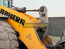 Liebherr L 576 Xpower