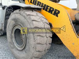 Liebherr L 576 Xpower