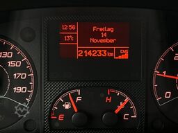 FIAT Ducato 3.0 Natural Power/CNG/Benzin 9 Sitze Pdc