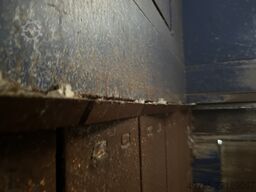 Europress Umwelttechnik GmbH EP 6100 V5
