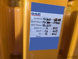 DAF XF 480 SC, ZF Intarder, Kühlschrank