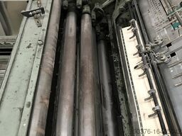 Nebiolo Saturnia 65x95 cm