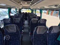 TEMSA 5 units Prestij SX,Novo Lux, Daily, Atego