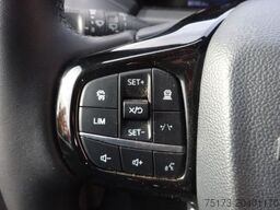 FORD Transit Custom Kasten 300 L1H1 Limited 170PS Aut