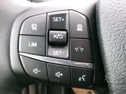 FORD Transit 350L4 Trend 4x4 Pritsche AHK Kam Stndhzg