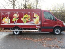 MERCEDES-BENZ Sprinter 310 Cold Car -33°C