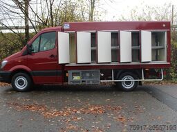 MERCEDES-BENZ Sprinter 310  Cold Car -33°C ATP 02/28