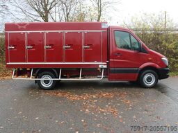 MERCEDES-BENZ Sprinter 310  Cold Car -33°C ATP 02/28