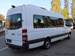 Mercedes-Benz Sprinter 516 CDi / Transfer 45 / Retarder / 7,4m