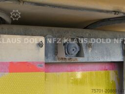 SCHWARZMÜLLER SM Kippmulde Plane SAF-Achsen Kamera