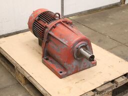 Bauer D447/166