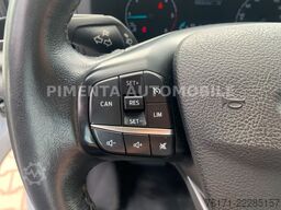 FORD Transit 2.0 TDCI Hubarbeitsbühne Topy11 11m RFK
