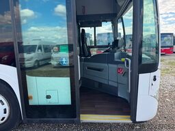 MERCEDES-BENZ Citaro LE 50 Sitzplätze mehrfach Verfügbar