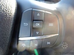 FORD Transit 350L4 Trend DoKa Pritsche Kam AHK Stndhz