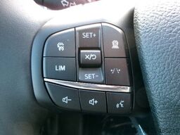 FORD Transit 350L4 Trend DoKa Pritsche Kam AHK Stndhz