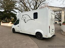 Renault Master Nuyts 1-2 Pferde Hengsttrennung