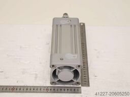 Festo DSBC-80-100-PPVA-N3  Hub 100 mm