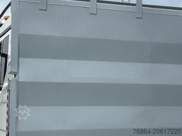 MAN TGS 28.480 6X4X4 , MEILLER,  WINTERDIENSTAUSRüSTUNG, ACHSLIFT, LENKACHSE