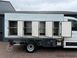 MAN TGE 5.120 N1 Cold Car Vrieswagen / Freezer COC ...