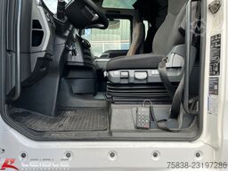 MAN TGX 26.480 6x2*Fleisch/Rohr*Meat*Komplettzug*