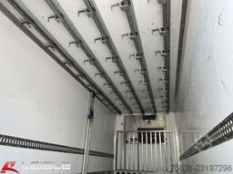 MAN TGX 26.480 6x2*Fleisch/Rohr*Meat*Komplettzug*
