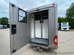 RENAULT Master STX 5 Sitzer  Haras / Hengste