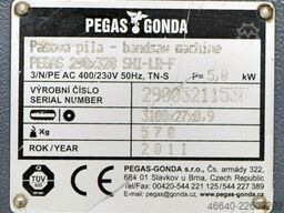 PEGAS 290 x 320 SHI-LR-F
