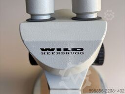 Wild Heerbrugg M3 – profesjonalny mikroskop Wild Heerbrugg M3 – profesjonalny mikroskop